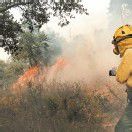 Waldbrand in Katalonien außer Kontrolle: vier Tote
