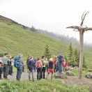 „AlpkulTour“ im Gauertal stößt auf Interesse