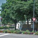 Gartenstadt kann auch „Gemüsestadt“ werden