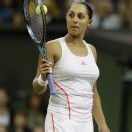 Olympia-Debüt Paszek freut sich auf London /C1