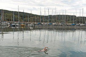 Bodensee mag den „Orca“ nicht