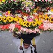 Blumen-Festival in Kolumbien