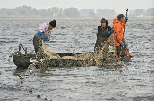 Die Frau blieb in einem Fischernetz hängen. Symbolfoto: DAPD