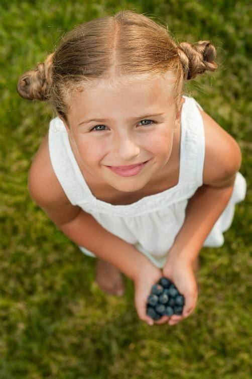Heimat, Gartentipp, Heidelbeeren, Blaubeeren, Geringer