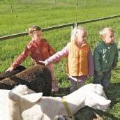 Neuer Hofkindergarten startet in Hohenems