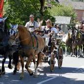 Bilderbuchwetter bei 18. Kutschentreffen