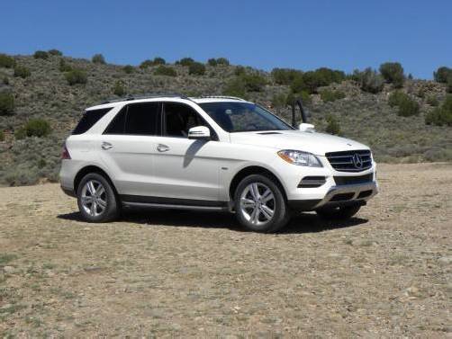 Mercedes feiert in den USA im ersten Halbjar Erfolge. Foto: werk