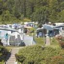 Campingplätze legen kräftig zu