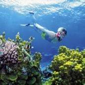 Sonnenschirme sollen Great Barrier Reef retten