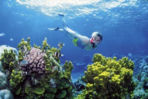Riesige Schattenspender könnten die einzige Chance für das Great Barrier Reef vor der Küste Australiens sein. Foto: DPA