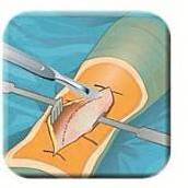 Die meistgeladenen Apps für iOS und Android