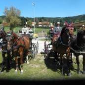 Gold und Bronze bei Staatsmeisterschaft
