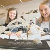 Lehrerflaute dauert noch an