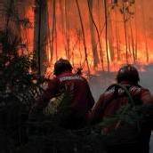 Großflächiger Waldbrand wütet in Portugal