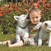 Oliver freut sich über die Hundebabys