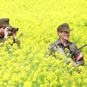 Bundesheer: Regierungsspitze sieht ungetrübte Zusammenarbeit