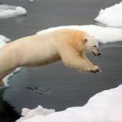 Wer ist verantwortlich für Klimakatastrophen?