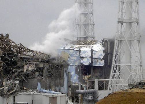 Die Behörden hatten es nach der Atomkatastrophe verabsäumt, flächendeckend Jodtabletten an Kinder auszuteilen, kritisiert Global 2000. dapd