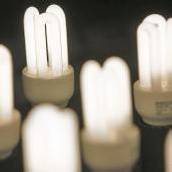Der ganz normale Energiespar­lampen-Wahnsinn
