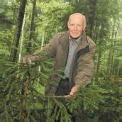 Weniger Wild, mehr Wald