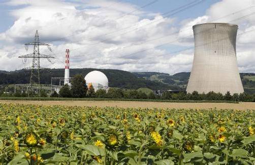 Probleme mit Materialien aus den Niederlanden meldet auch das AKW Leibstadt. Foto: Reuters