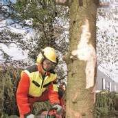 In guten Händen Ländle-Wald auf hohem Niveau /A5