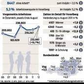 Zahl der Arbeitslosen im Land auf 8447 gestiegen