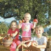 Ländle-Apfel 2012 ab sofort zu genießen