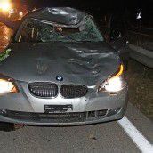 Autofahrerin prallte mit Kühen zusammen