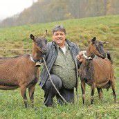 Auf die Ziege gekommen