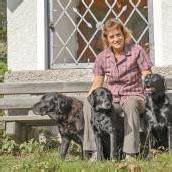 Für Hunde einen Führerschein