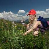 Bestes Wetter für Wanderungen