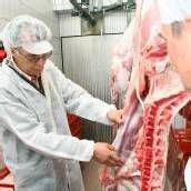 „Faule Früchtchen“ ins Netz