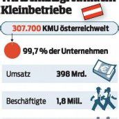 Kleinbetriebe bewältigen Krise besser