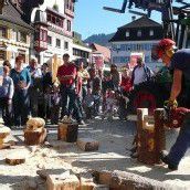 Holz im Mittelpunkt