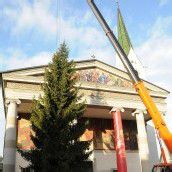 18-Meter-Baum schmückt den Marktplatz