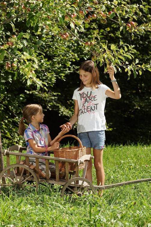 Bei der Obsternte mithelfen ist für Kinder ein Spaß. Foto: berchtold