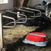Roboter mistet Kuhstall aus