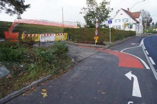 Der Radweganschuss führt ins Rheinvorland. Foto: eh