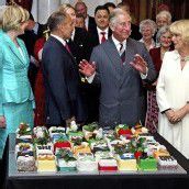 64. Geburtstag: Prinz Charles in Partylaune