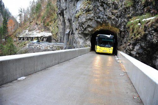 Die Projektkosten für die neue Brücke beliefen sich auf 450.000 Euro. Foto: stadt