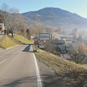 Ausholzen im Verkehrsschilderwald