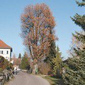 In jeder Gemeinde ein Naturjuwel