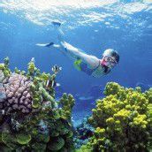 UNESCO fürchtet um das Great Barrier Reef