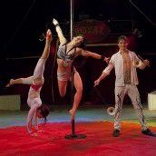 Circus Royal in der Landeshauptstadt