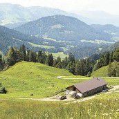 Vorschuss auf Alpungsprämie
