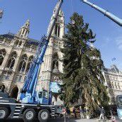 Weihnachtsstimmung in Wien