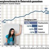 Österreicher sparten 2011 Energie