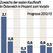 Kaufkraft wird 2013 steigen