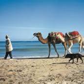 Tunesiens Sonneninsel im Mittelmeer